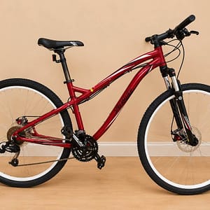 Gorgeous Specialized Mountain Bike | M | Disco Brake
